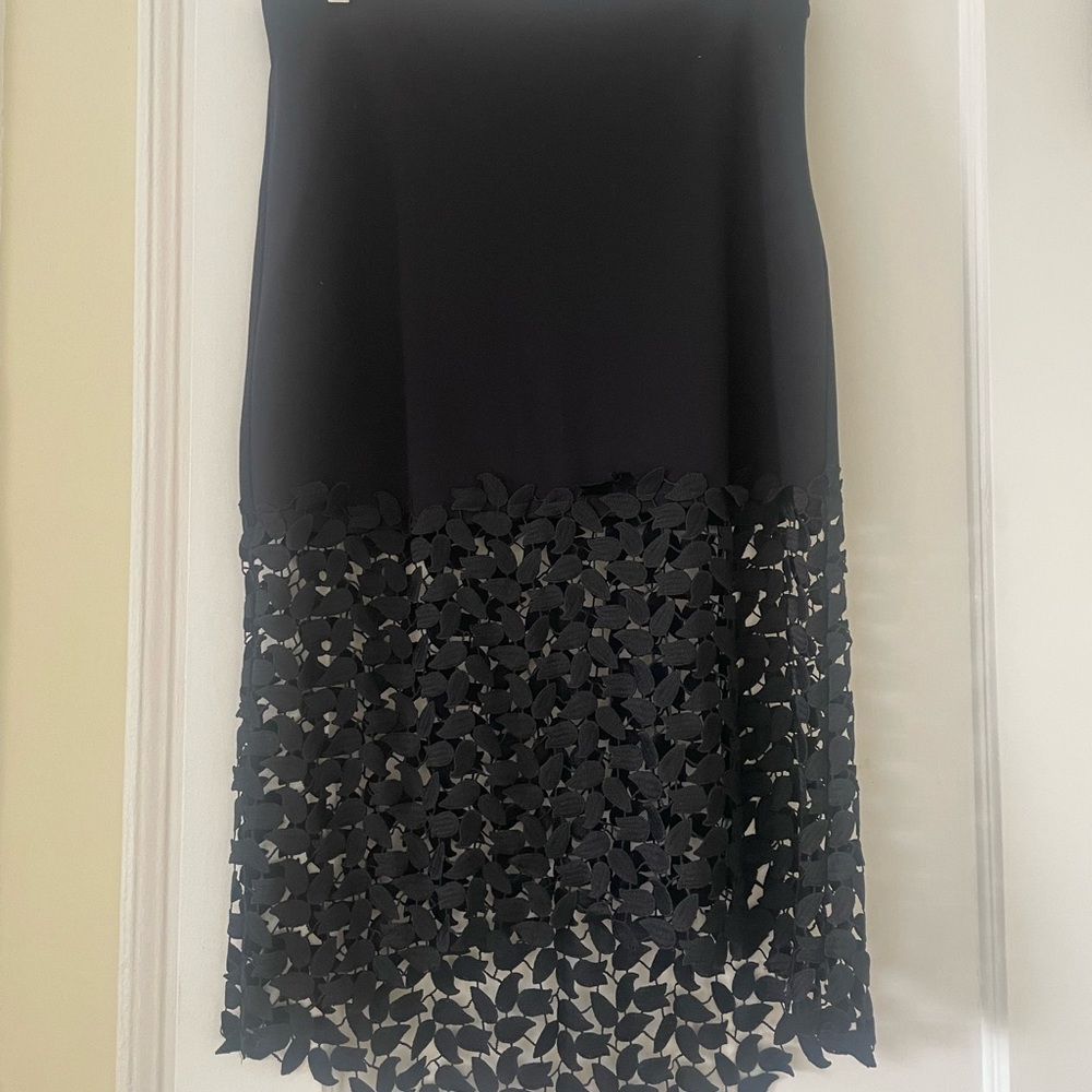 Elegant Black Lace Skirt